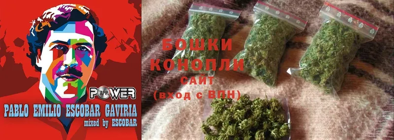 купить наркотик  Лахденпохья  Шишки марихуана White Widow 